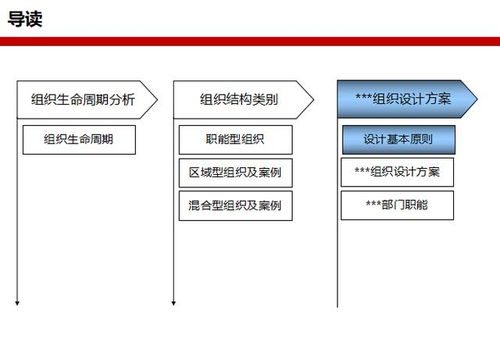 动态组件设计方案[动态组织设计原则有哪些]